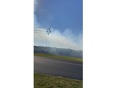IMG_1421